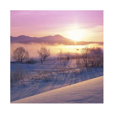 Premium RC Ultra Smooth photo paper 270gsm